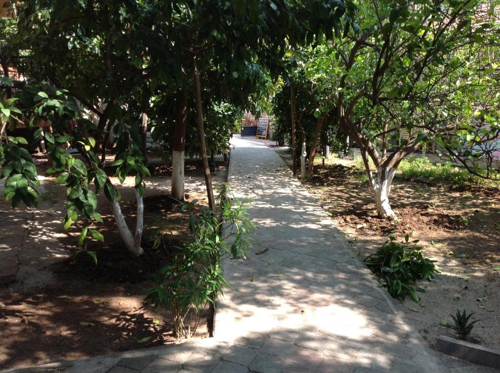 Ilkiz Beach Hotel Oludeniz Exteriér fotografie